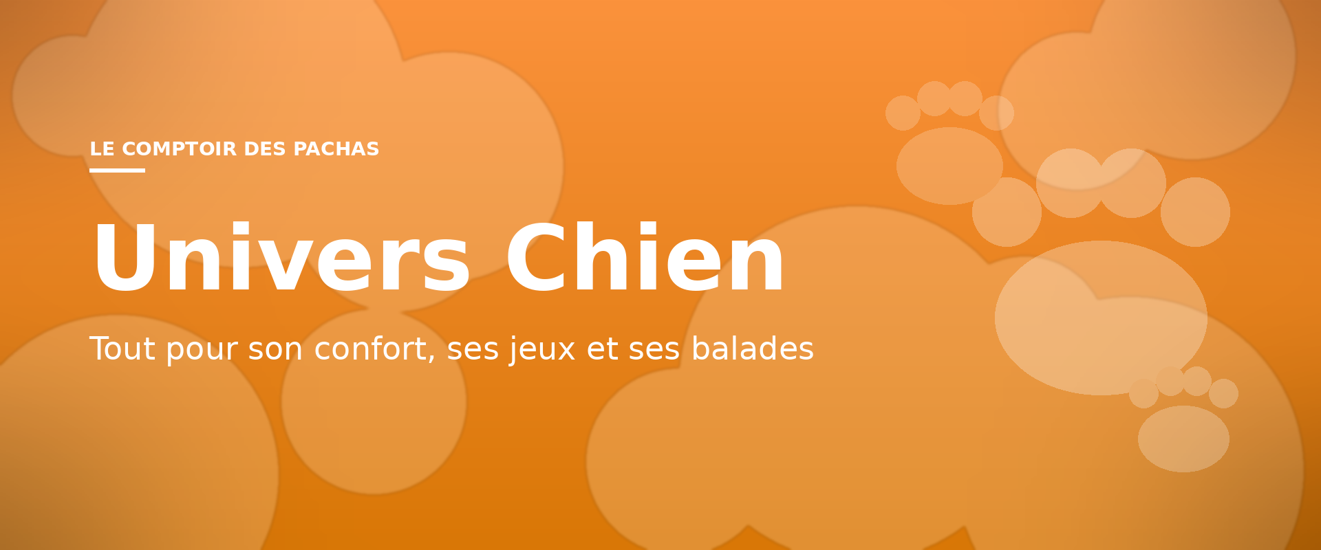 Univers Chien — Tout pour son confort, ses jeux et ses balades