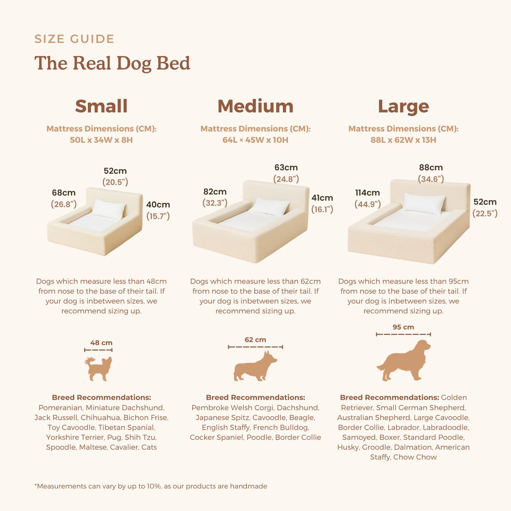 Lit Premium pour Chien